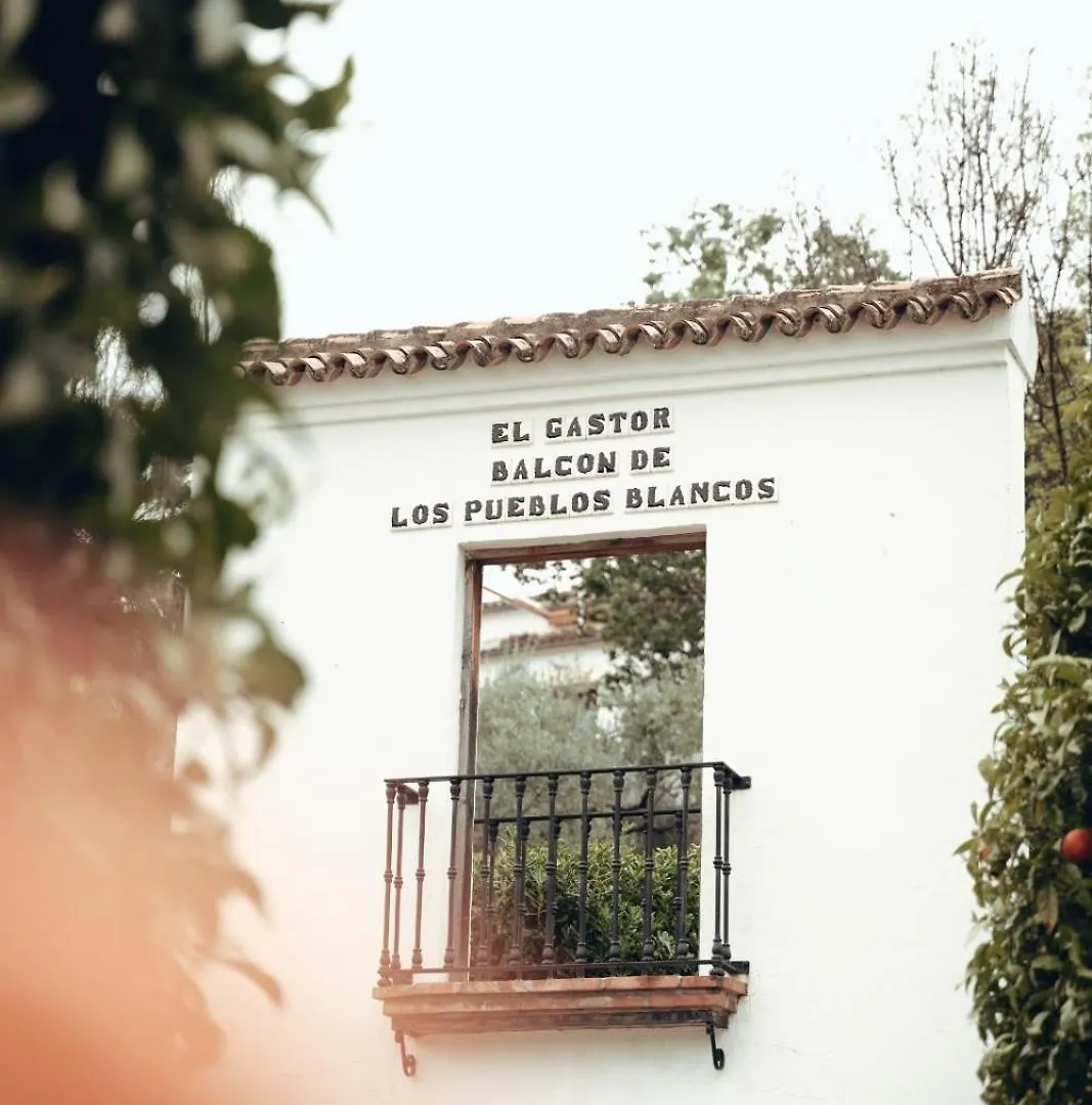Salati Apartment El Gastor